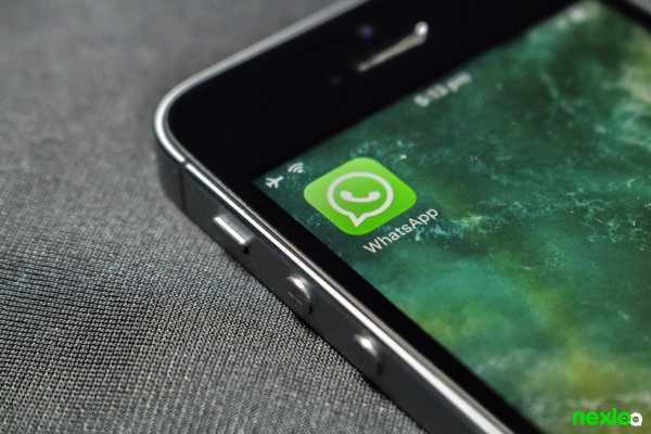 whatsapp whatsapp business