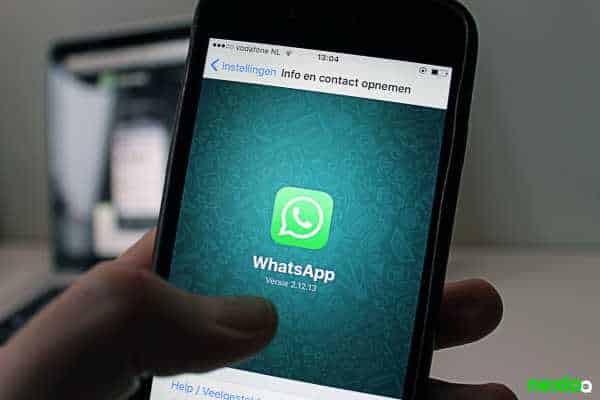 whatsapp whatsapp business