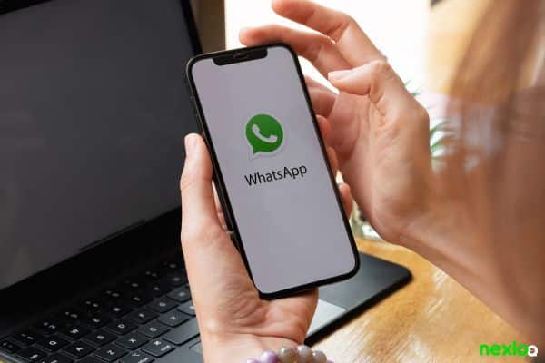 whatsapp whatsapp business (2)