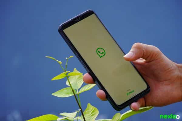 whatsapp whatsapp business (7)