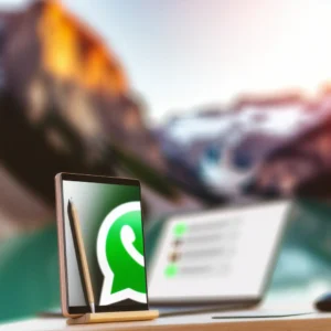 Gestione Contatti WhatsApp: Il Tuo CRM su Misura per la Piattaforma di Messaggistica