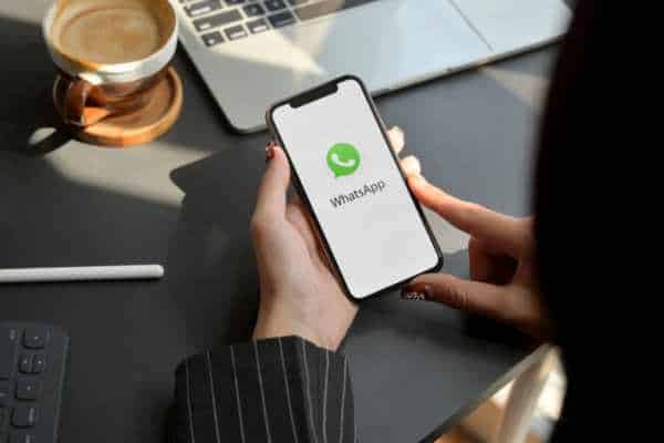 Best WhatsApp Automation: Solutions to Maximize Your Productivity - NexBlog