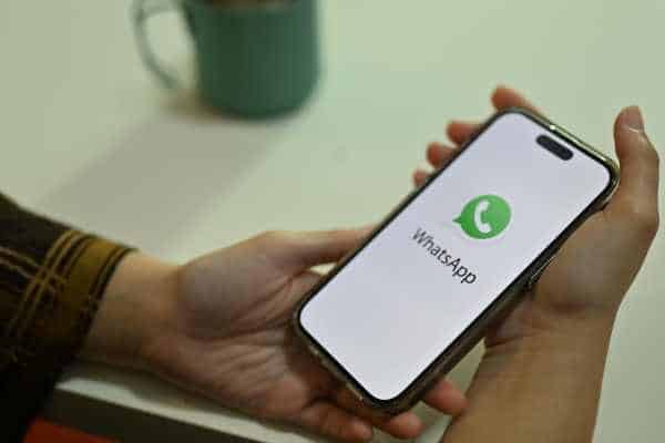 How Does the Official WhatsApp API Work? Complete Guide - NexBlog