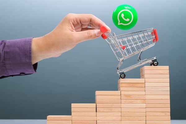 Learn to Use WhatsApp as a Sales Tool - NexBlog