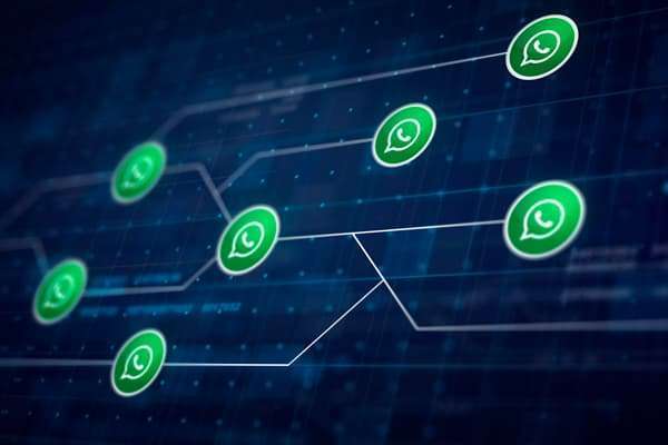 Master the WhatsApp API: Everything You Need to Know - NexBlog