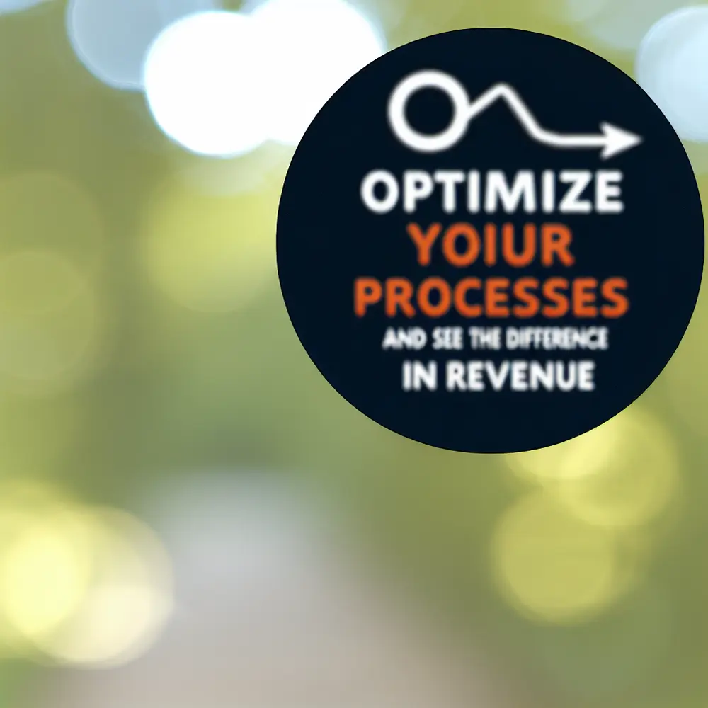 Optimize Your Processes: See the Difference in Your Revenue