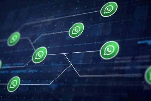 Virtual Assistant for WhatsApp: Enhance Your Customer Service Efficiency - NexBlog
