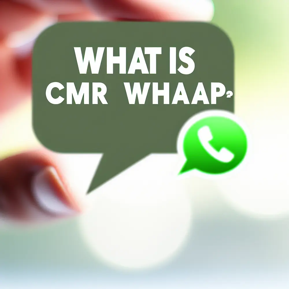 What is WhatsApp CRM? | Unveiling the Term and Its Use in Business