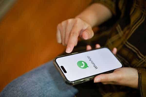 WhatsApp Automation Tool: Solutions for Businesses - NexBlog