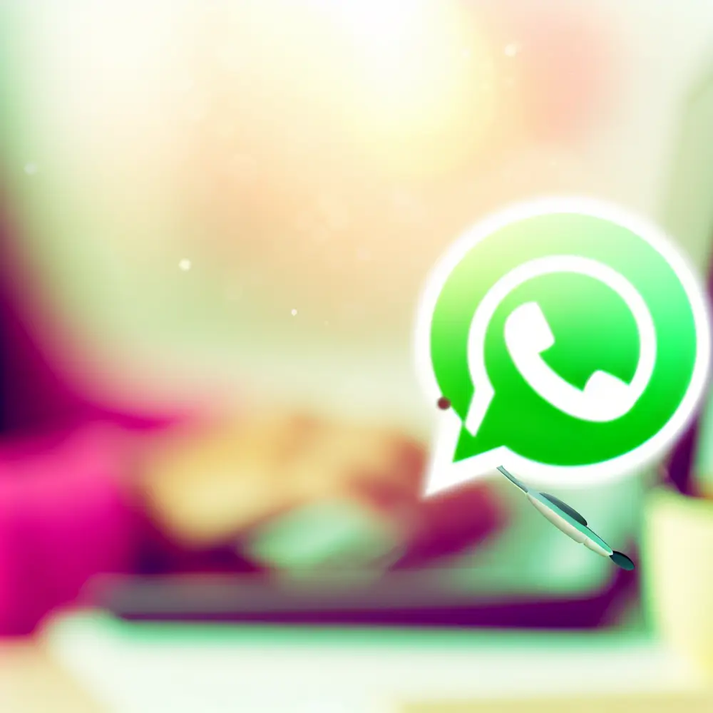 WhatsApp for Customer Service: Use the API for Impeccable Support