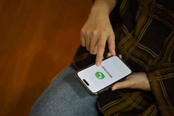 WhatsApp Marketing Software: Solutions to Increase Sales - NexBlog