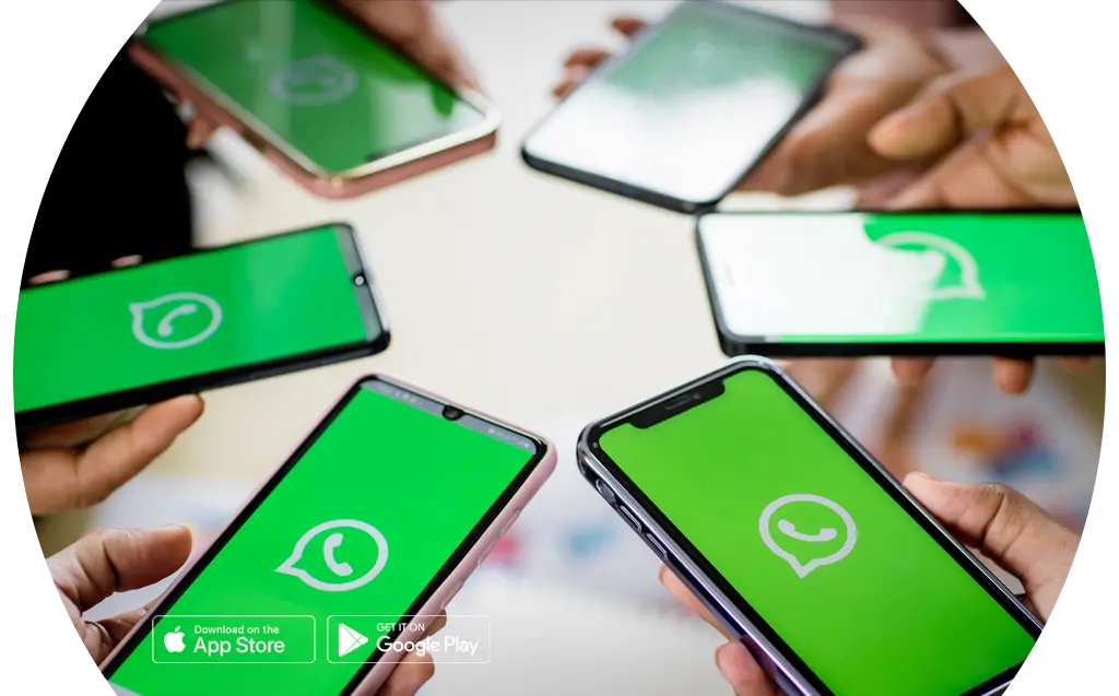 conjunto de smartphone apresentando ícone do whatsapp - nexloo